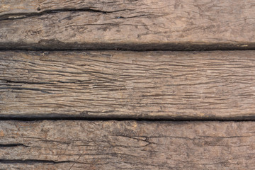 old wood background,texture of bark wood