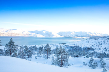  43/5000 Winter and snow in Brønnøy, Nordland county