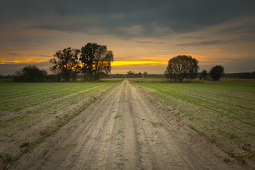 Sandy road through fields, clouds and sunset in Nowiny, Poland