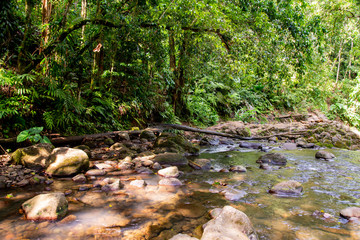 Randonnée Cascade saut de la Lézarde Basse Terre Guadeloupe France