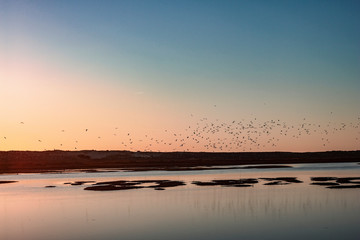 Ria Formosa