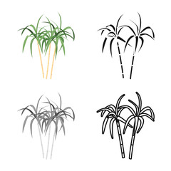 Vector illustration of palm and cane symbol. Web element of palm and plant stock symbol for web.