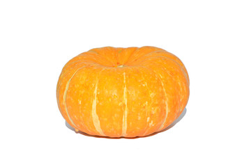 yellow pumpkin on a white background
