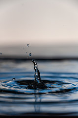 water drop freezed by a highspeed photograpy