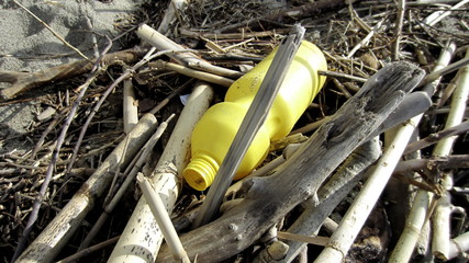 Plastic yellow bottle among the garbage, branches and pieces of wood thrown to the beach by the sea