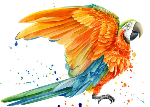 yellow parrot and paint splashes, isolated white background, watercolor drawing, tropical birds poster