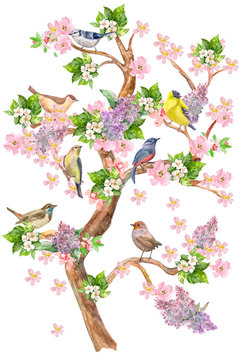 fancy high tree with seating colorful birds on flowering branches. watercolor painting