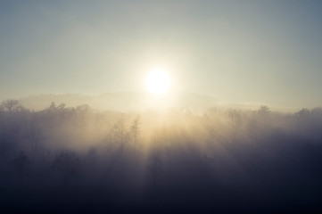 Sonnenschein über Baumwipfel im dichten Nebel