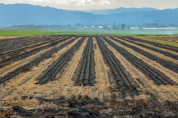滋賀県の田舎風景