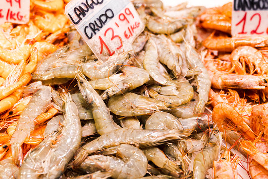 showcase of seafood in the Mercat de la Boqueria, Barcelona