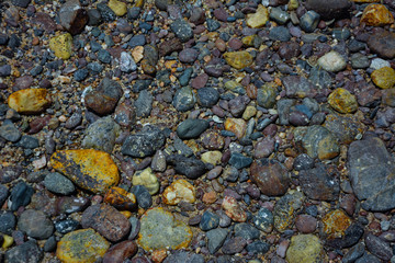 Small Oval Pebble Stones Background,Colorful pebbles on the coast,Small pebble Colorful beach.colorful small pebble and stone for background texture.