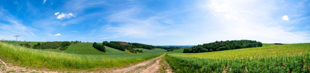 Fototapeta na wymiar Rural road and field , spring fresh green grass and blue sky, panoramic landscape