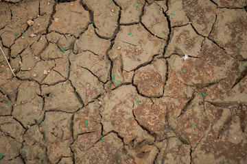 The ground cracked at lake side