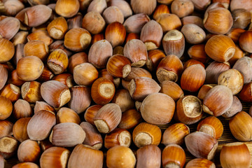 Food background of the whole hazelnuts