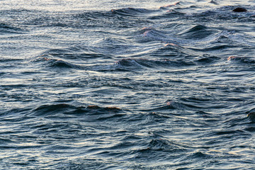 la mer bouge