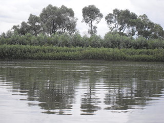 VLUU L210  / Samsung L210