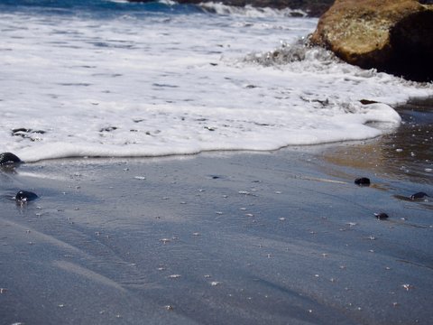Calm beach waves