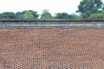 traditional clay roof tiles of chinese asian temple with blurred tree background.