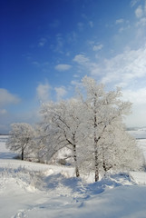 Winter Landschaft Bäume Schnee Bäume Natur Deutschland Weihnachten Sport Wandern Sonne Struktur Hintergrund Schneedecke Eis Kristalle Wonderland Iserlohn Altena Nachrodt-Wiblingwerde