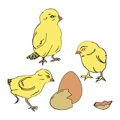 Easter card.