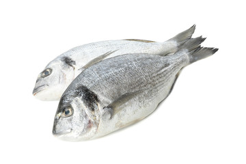 Fresh Dorado fishes isolated on white background