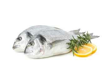 Dorado fishes, lemon and rosemary isolated on white background
