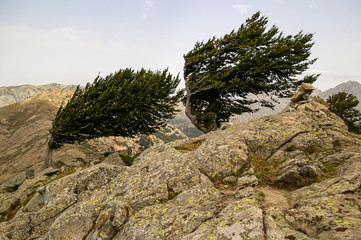 Mountainous landscape, Nature Park of Corsica, France