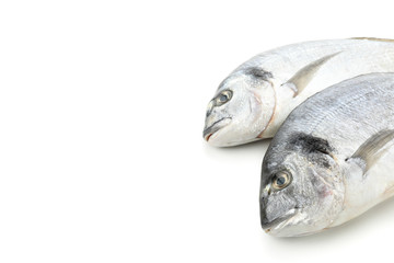 Fresh Dorado fishes isolated on white background, close up