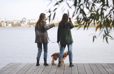 Two girls and english cocker spaniel dog stand on wooden bridge.Portrait of dog outside (outdoors)....