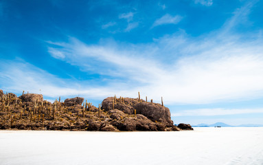 Beautiful sunshine Cactus island lsndscape, Salar de Uyuni