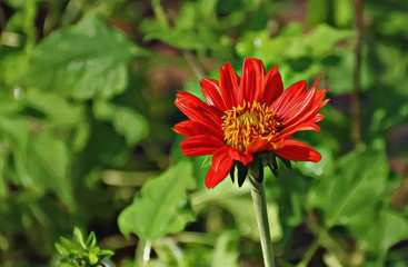 ILLUSTRATION ABSTRACT NATURAL TEXTURE BACKGROUND. Close up of Colorful flowers blooming in garden plant park. Tropical trees floral and green leaves for wallpaper pattern backdrop graphic decor design