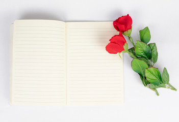 Roses placed on a notebook on a white background.
