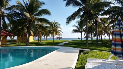 Fototapeta premium beach pool sea palms grass