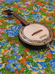 Close-up of a Brazilian string musical instrument: samba banjo, on a very colorful “chitao”...