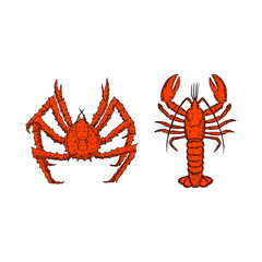 King crab and lobster. Vector cartoon illustrations. Isolated objects on a white background. Hand-drawn style. Top view.