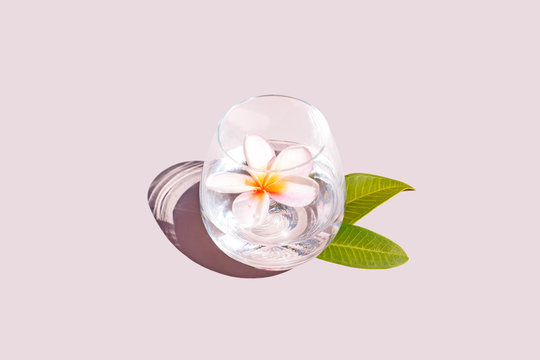 Frangipani Flower in Sparkling Water - Tropical Vibes 