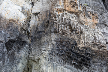 Background, texture of grey rock. Texture, background of shell rock.