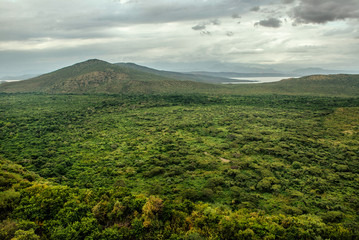 Panoramic view to Mago National Park at Omo valley, Etiopia