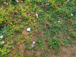 Green grass land