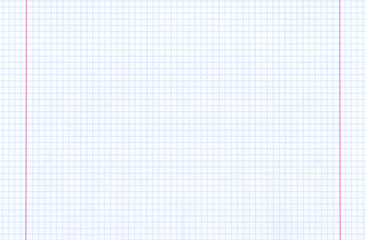 Expanded sheet of notebook paper in cage, template