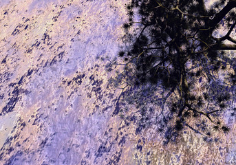 Barbed bush on stone background