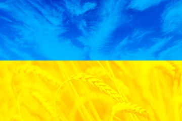 Beatiful flag of Ukraine, symbolizing sky and fields, wallpaper