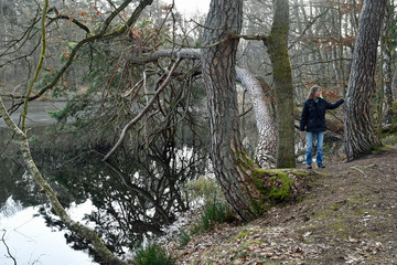 Obraz premium am retzbergweiher