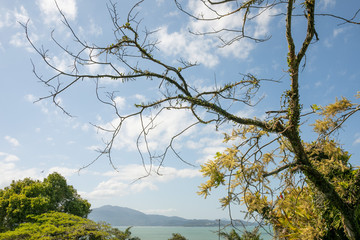 natureza