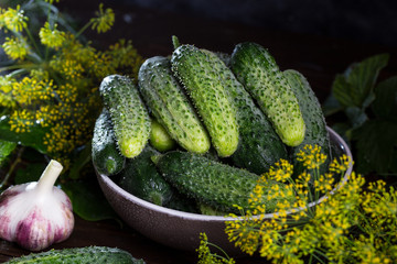 Image with cucumbers.