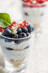 Fototapeta na wymiar Delicious yogurt pudding with chia seeds, oats, berries and fruit in glass jars for healthy eating on light background. Selective focus