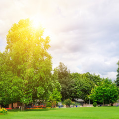 Summer park with beautiful green lawns and sun.