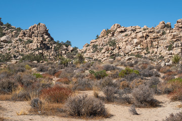 Fototapeta na wymiar Stones and scenic view in Joshua tree national park, california