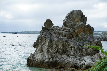 ゴリラチョップ