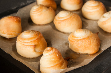 Homemade buns from the oven on a baking sheet